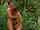 What's the name of this porn star?