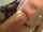pornstar blow job big cock