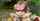 What's the name of this porn star?