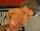 What's the name of this porn star?