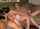video? more in bio