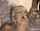 What's the name of this porn star?