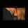 What's the name of this porn star?