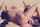 What's the name of this porn star?