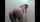 What's the name of this porn star?