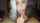 cosplay blowjob