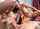 bbc bangbros