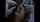 what is the name of thus movie?