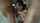 evilangel realityjunkies sweetheart video