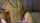 What's the name of this porn star?