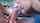 creampie oral compilation