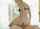 What's the name of this porn star?