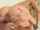 What's the name of this porn star?