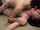 masturbation shaved vaginal sex