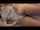 What's the name of this porn star?