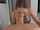 cheating facial blowjob