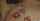 What's the name of this porn star?