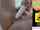 What's the name of this porn star?