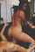 Where can I find this video?