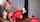 clips4sale