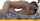 pornfidelity creampie