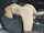 Where can I find this video?