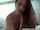 masturbate masturbating