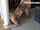 teenager amateur hot