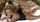 What's the name of this porn star?