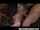 What's the name of this porn star?