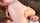 joi anal