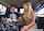 blonde bangbus bangbros