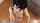 What's the name of this porn star?