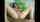 cam teen