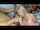 What's the name of this porn star?