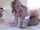 What's the name of this porn star?