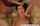 Which India Summer scene is this?