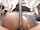 asian r18