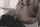 puremature passionhd