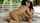 What's the name of this porn star?