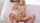 What's the name of this porn star?