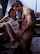 sexart
