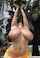 What's the name of this porn star?