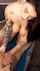What's the name of this porn star?