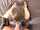 What's the name of this porn star?