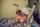 What's the name of this porn star?