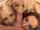 What's the name of this porn star?