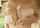 What's the name of this porn star?