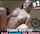 What's the name of this porn star?
