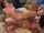 What's the name of this porn star?